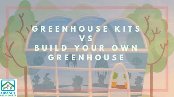 Greenhouse Kits vs Build Your Own Greenhouse